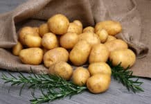 Erdäpfel sind die Zitronen des Nordens