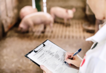 AMA erhöhte im Vorjahr die Kontrolldichte