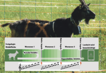 Virtuelle Grenzen statt Zäune setzen