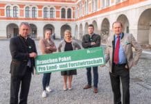 Die Preise fallen und fallen