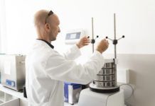 Mit Pheromonen gegen den Maiswurzelbohrer