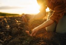 Tagesveranstaltung zum Thema „Gesunde Böden“