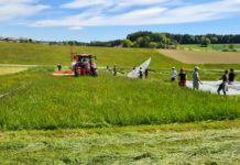 Studie: Insektenschonende Mähtechnik