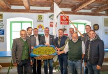 Hopfen bester Qualität, aber um ein Drittel weniger