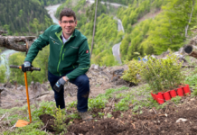 4,6 Mio. Euro für Kärntner Forstschutzmaßnahmen