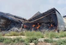 Beim Melken erschossen