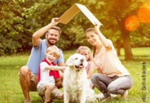 Die BAU. ENERGIE. WOHNEN in Wieselburg. Von 20. bis 22. Oktober 2023