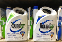 Glyphosat-Zulassung für weitere zehn Jahre mit Auflagen