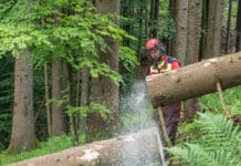 Am Holzmarkt herrscht gedämpfte Stimmung