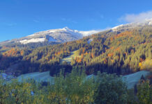 Zwischenbilanz beim zweiten Tiroler Forstgipfel