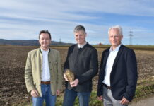 Ernteerträge lagen über dem Durchschnitt