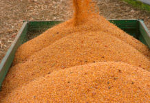 Die große Ernüchterung