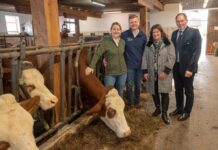 Einhelliges Sozialpartner-Bekenntnis