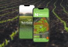 Nach dem Weizenanbau bereits an die Frühjahrsdüngung denken!