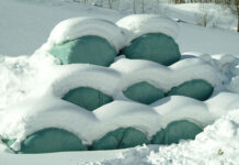 Siloballen-Urteil: Nun auch in Kärnten Rechtssicherheit