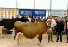 Vielfalt bei Niederauer Tierschau