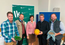 Extremwetter wird normal