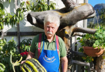 Naturwettbewerb stellte grüne Daumen unter Beweis