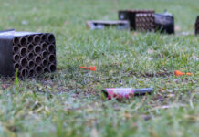 Umwelt- und tierwohlbewusst ins neue Jahr starten