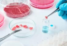 Italiens Staatspräsident verweigert „Durchwinken“ des Laborfleisch-Verbots