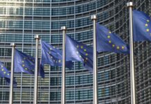 EU-Parlament steigt bei Agrarpolitik-Reformen auf die Bremse