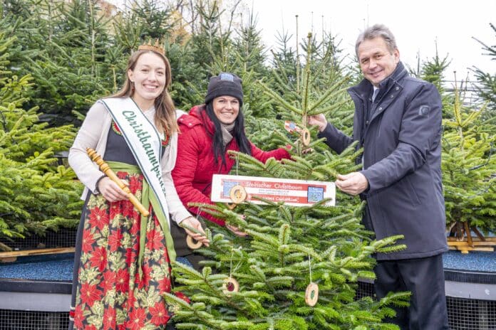 LK PK Christbaeume am 01.12.2023