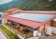 Reiche Sonnenernte auf Tirols Stalldächern