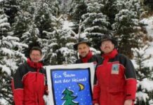 Was für „Bäume aus der Heimat“ spricht