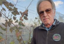 Auszeichnung für seltenen Prädikatswein