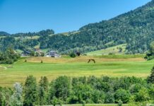 Urlaub am Bauernhof ist ein gefragtes Angebot