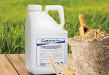 CUPROFOR FLOW – das verlässliche Kupfer-Fungizid