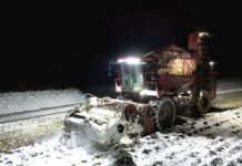 Zuckerrübe: Viel Zucker, guter Preis, Ernte bei Eis und Schnee