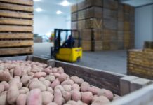 Das Kartoffellager soll die Wertsteigerung sichern