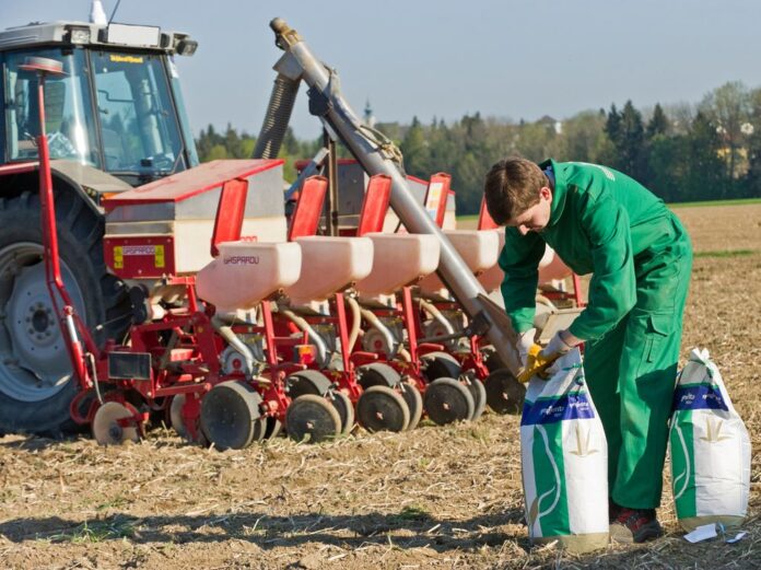 2404 W01 Mais Saat Agrarfoto