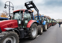 Ominöse „Fahrt nach Wien”, ein freiheitlicher Wahlkampf-Gag