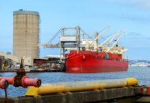 Chinesisches Bier aus australischer Futtergerste