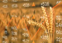 FAO-Lebensmittelpreisindex im Sinkflug