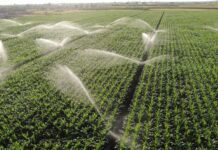 Boku-Tagung mit Fokus auf Bewässerung