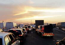 Grenzkontrollen wegen Schweinepest