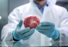 Allianz gegen Kunstfleisch
