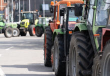 Auch Rumäniens Bauern protestieren