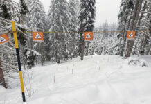 Rücksicht auf Schutzwälder