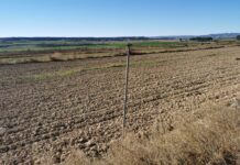 Landwirte am Wasser-Tropf