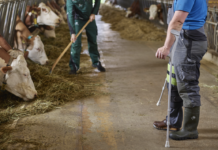 12 statt 10 Euro Zuschuss