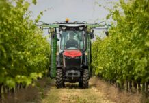 MF 3 Special für Wein- und Obstbau auf der Austro Vin