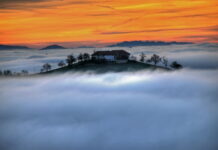 Das Bauernjahr 2023 – eine Berg- und Talfahrt