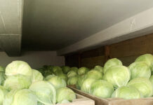 Auch beim Einkauf von Gemüse gilt: Unbedingt das Kleingedruckte lesen