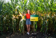 MME: Diese Silomaisgenetik bringt mehr