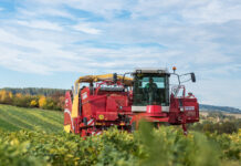 Auch Gebrauchte rückläufig