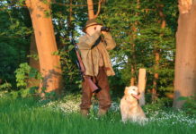 Neues Jagdgesetz wird nächste Woche im Landtag beschlossen